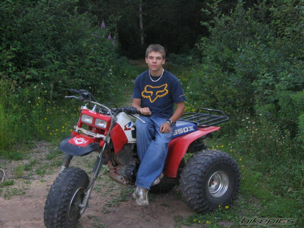 Photo 191331