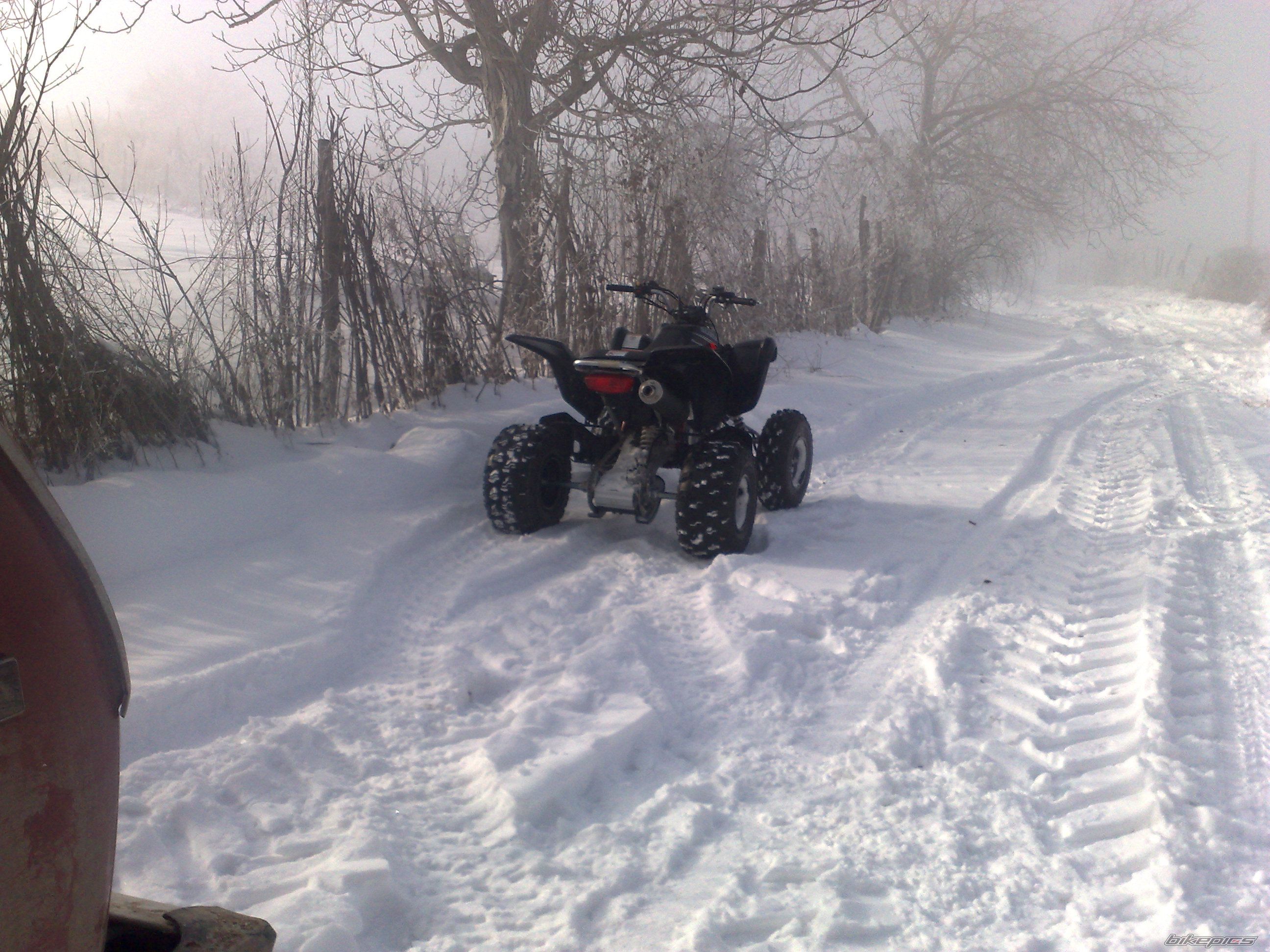 Photo 1913373