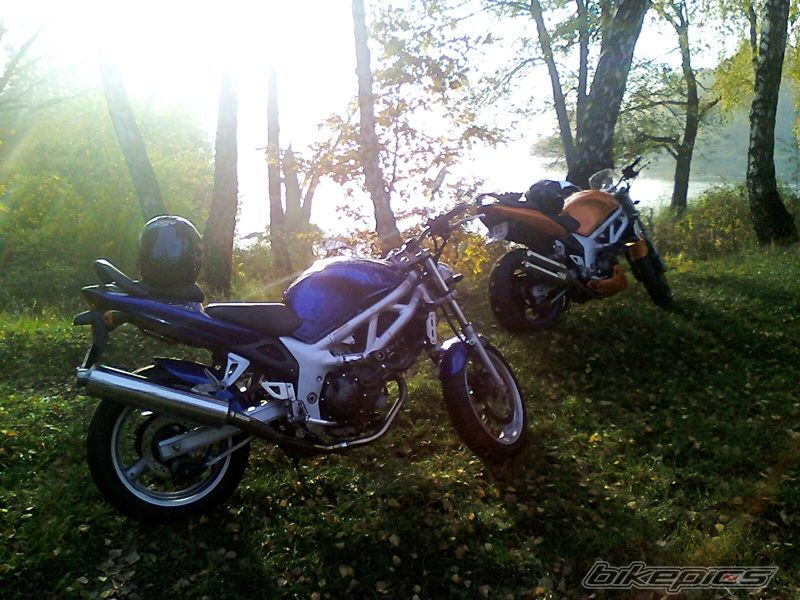 Photo 1913407