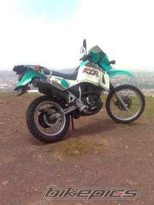 Photo 1913454