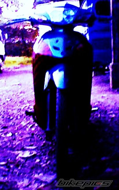 Photo 1913706