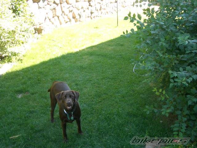Photo 191395