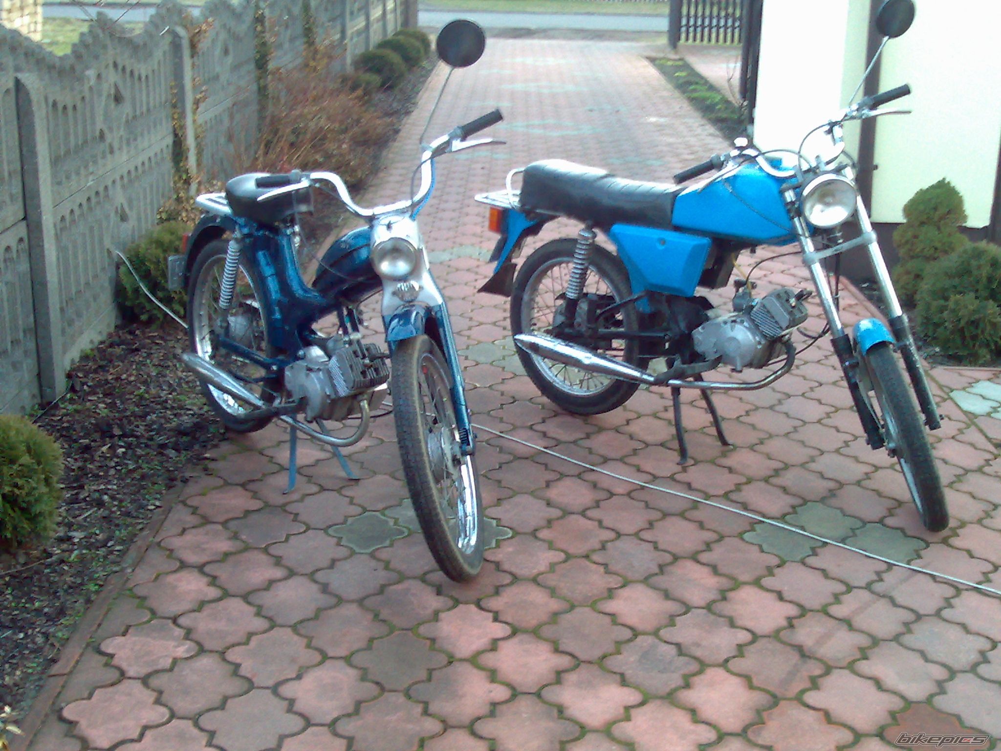 Photo 1914011