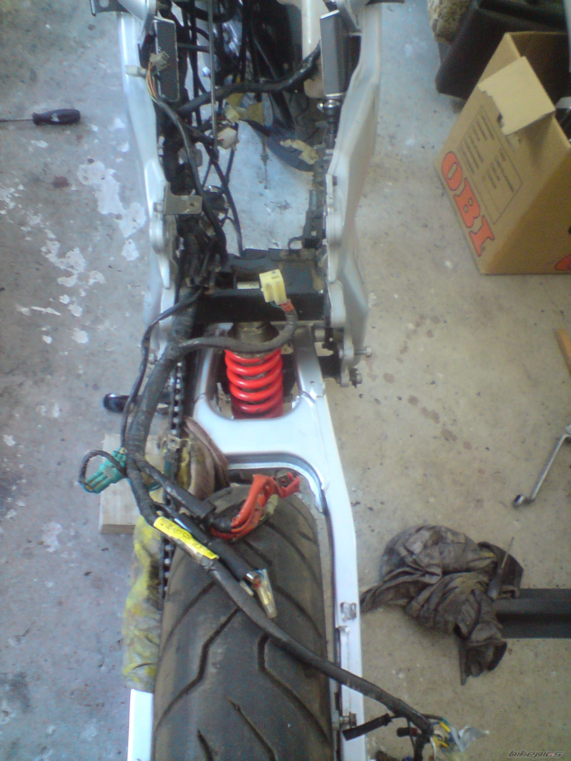 Photo 1914039