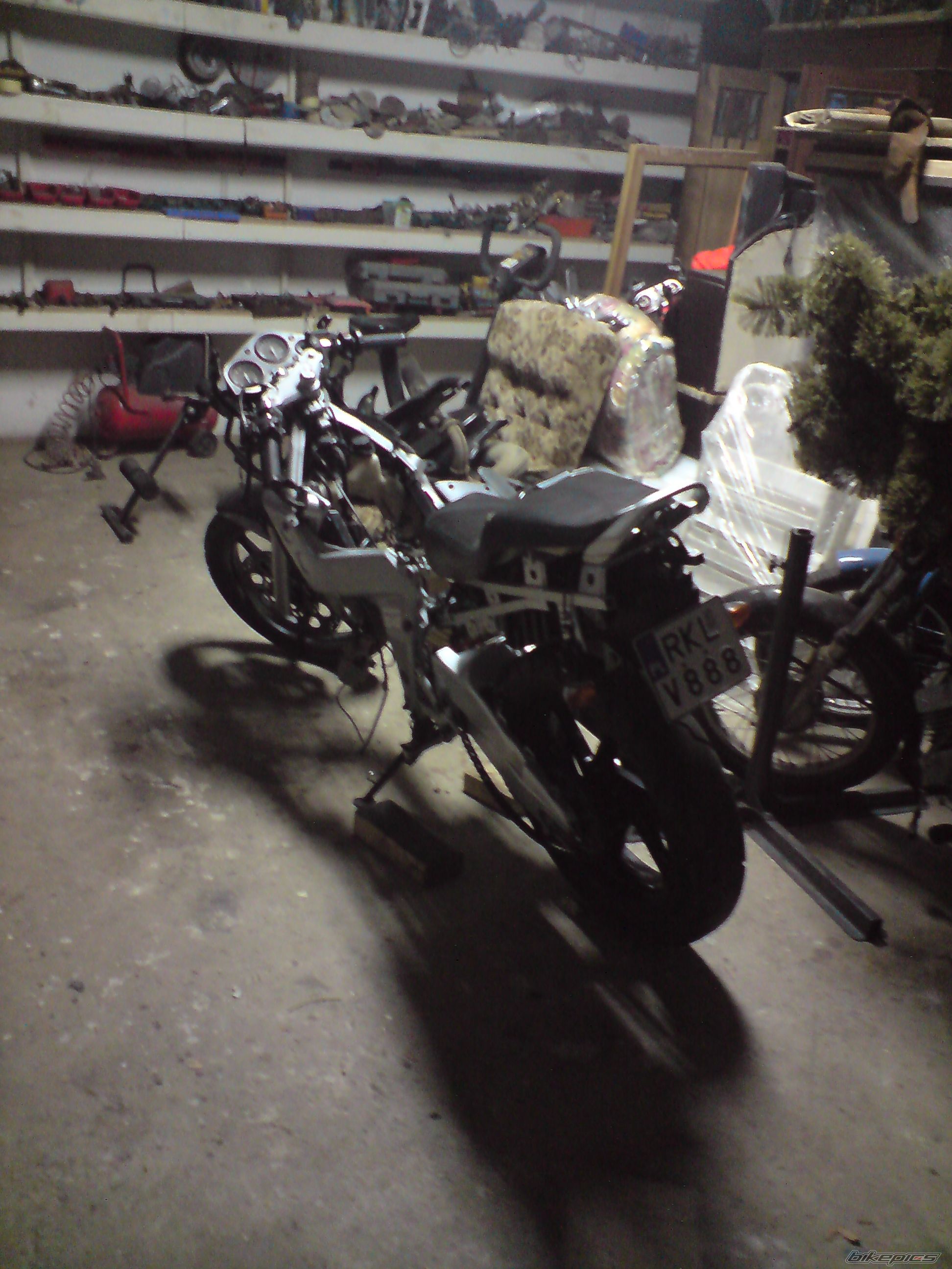 Photo 1914043