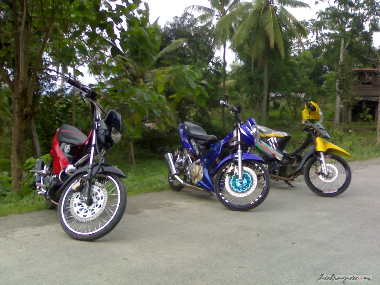 Photo 1914154