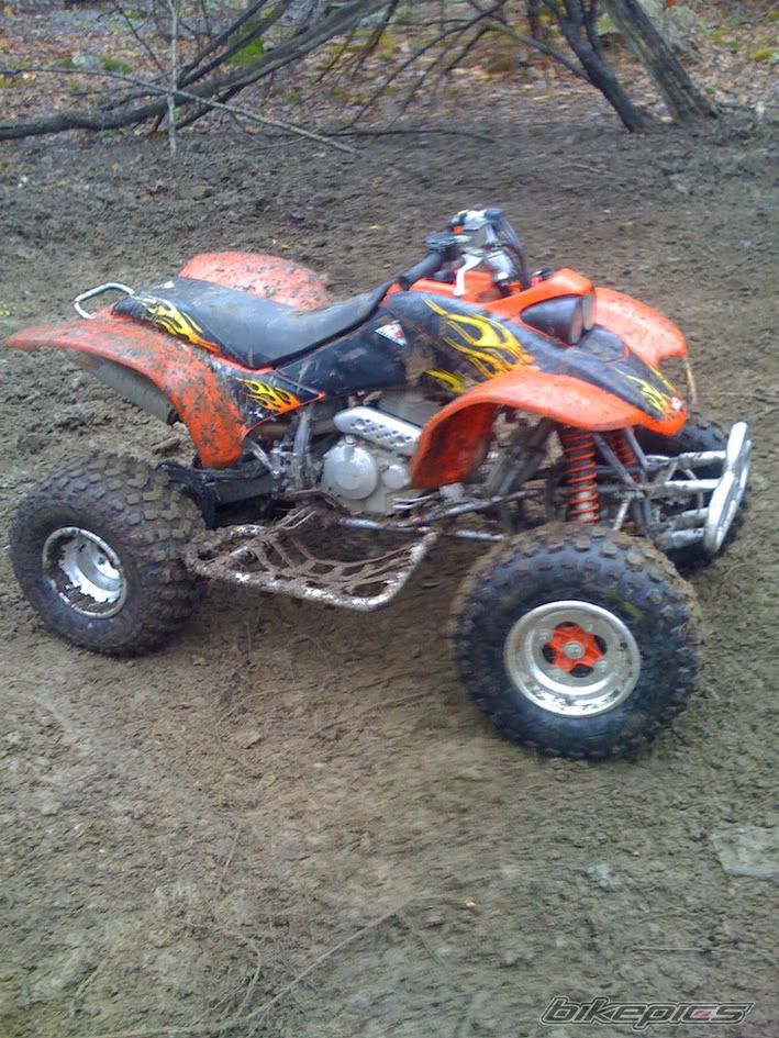 Photo 1914209