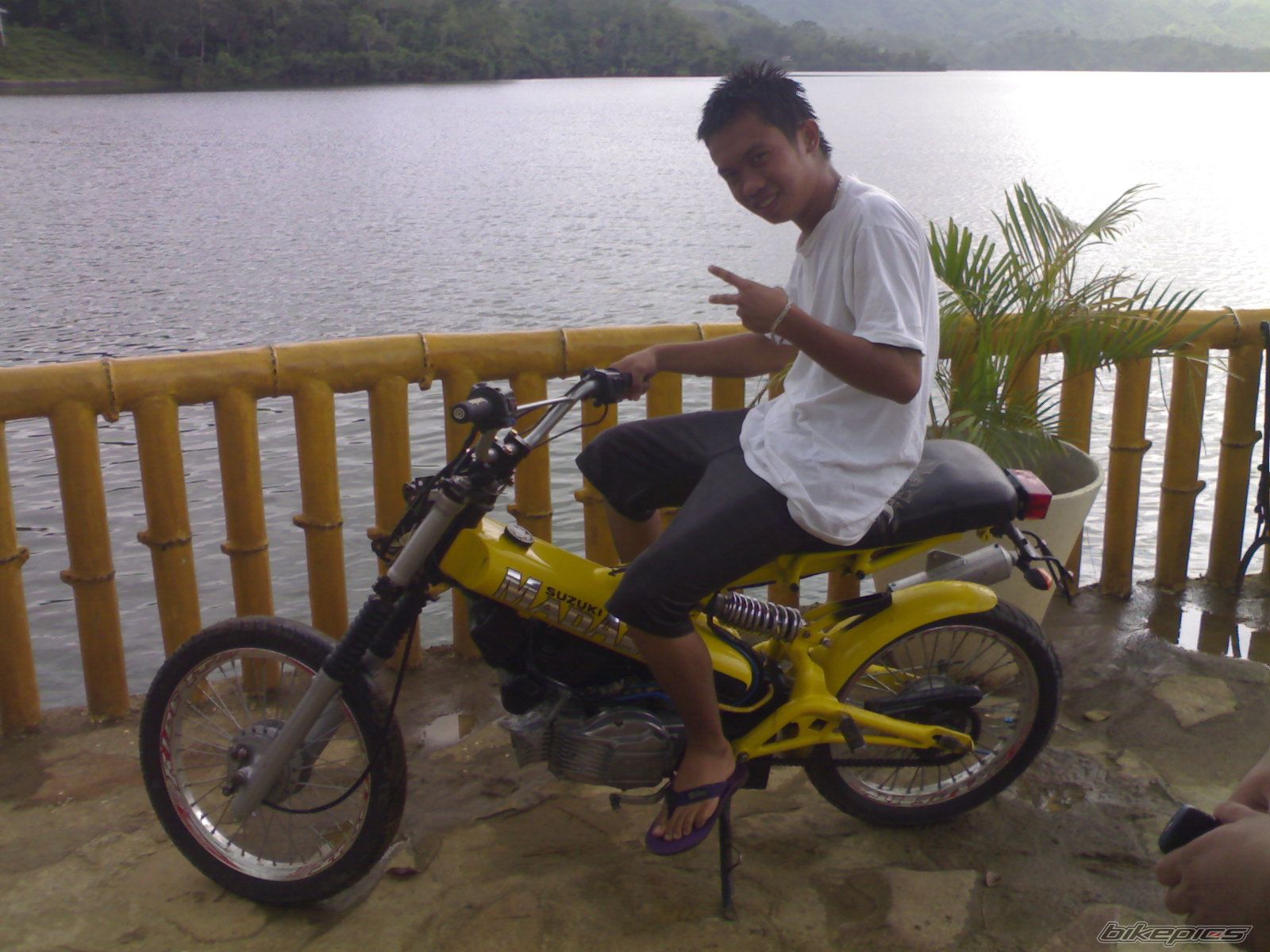 Photo 1914354