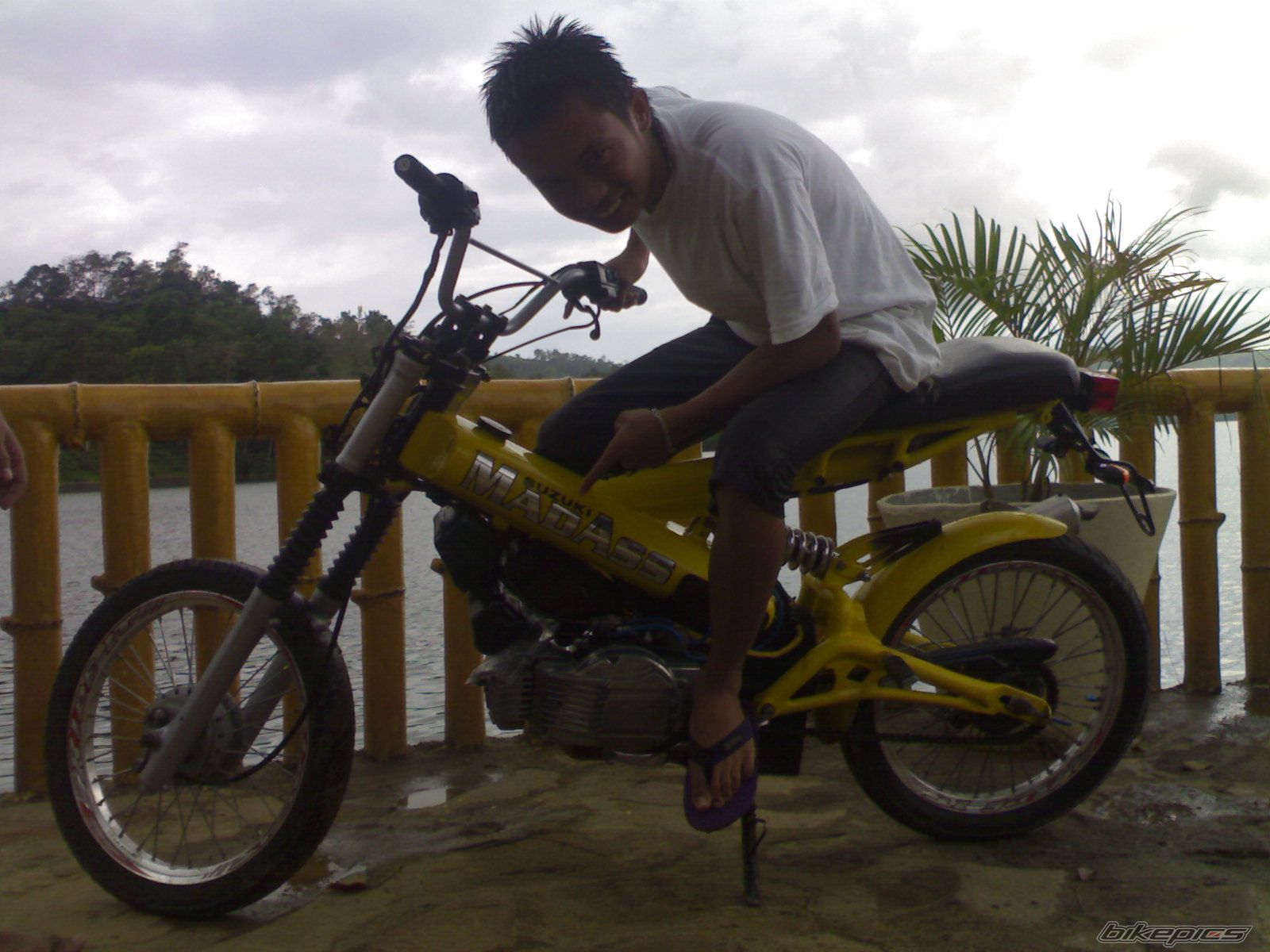 Photo 1914355