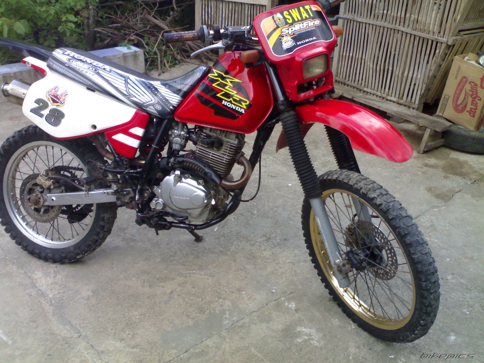 Photo 1914363