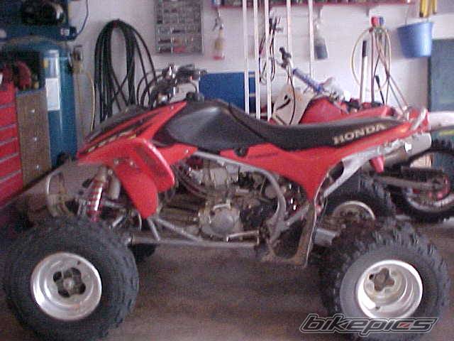 Photo 191463