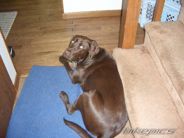 Photo 191473