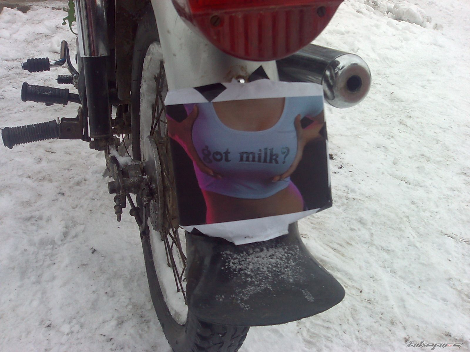Bike Photo 1915055