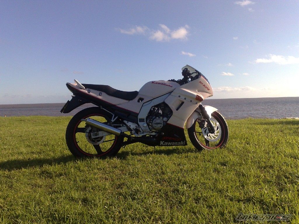 Photo 1915147