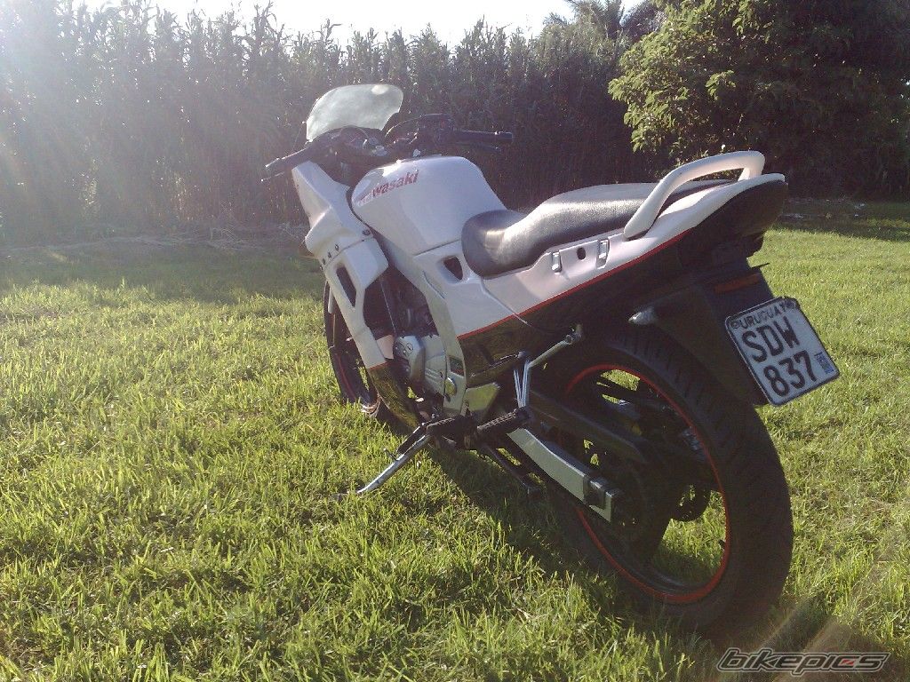 Photo 1915150