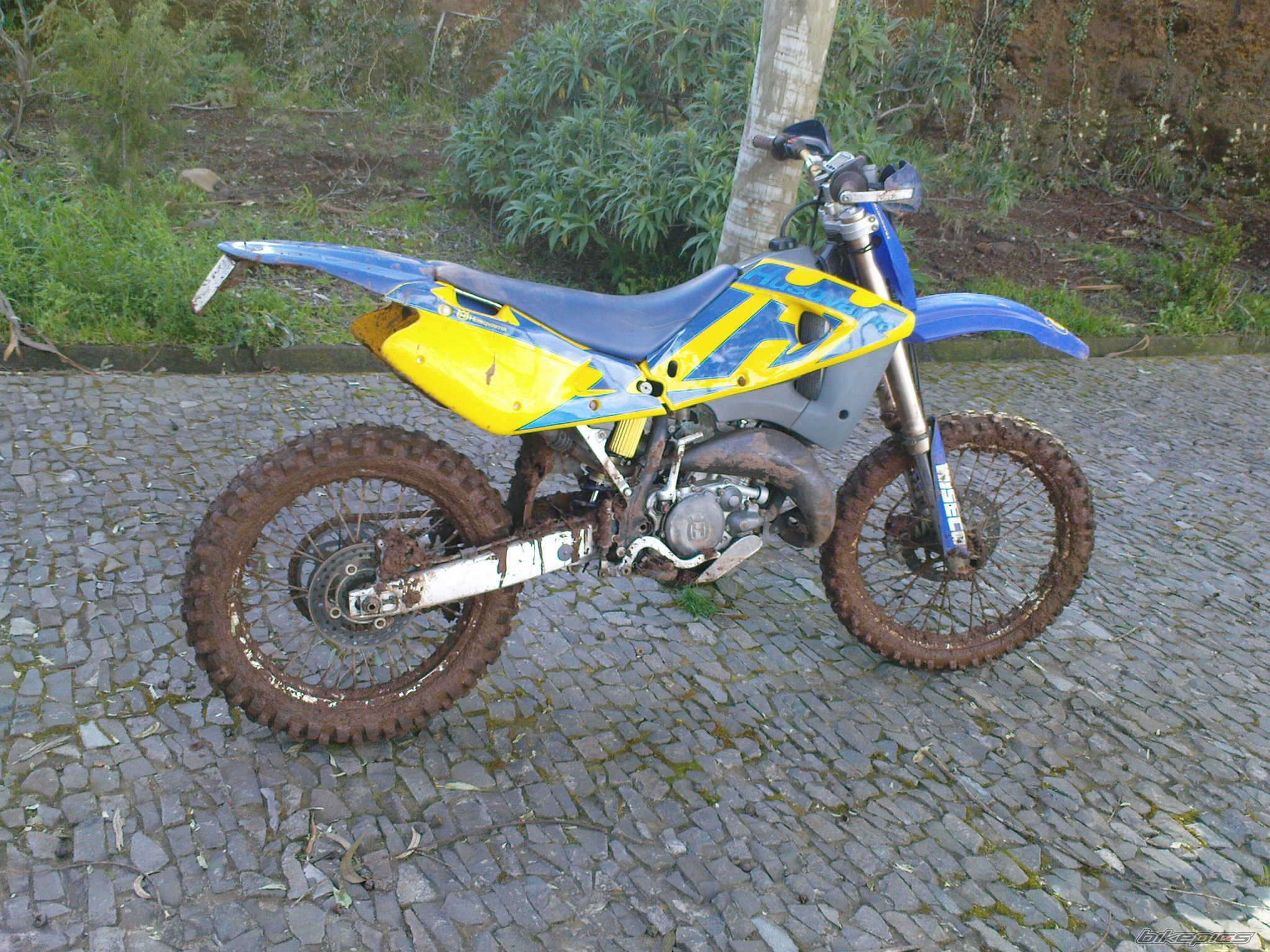 Photo 1915178
