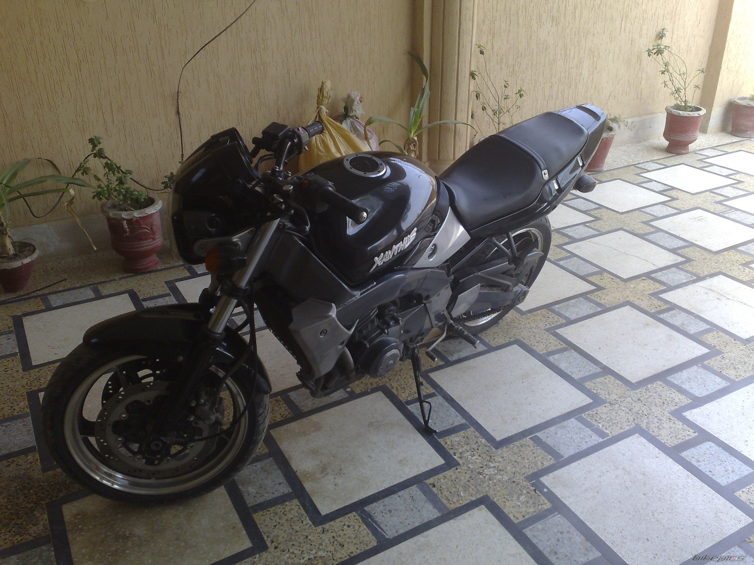 Bike Photo 1915385