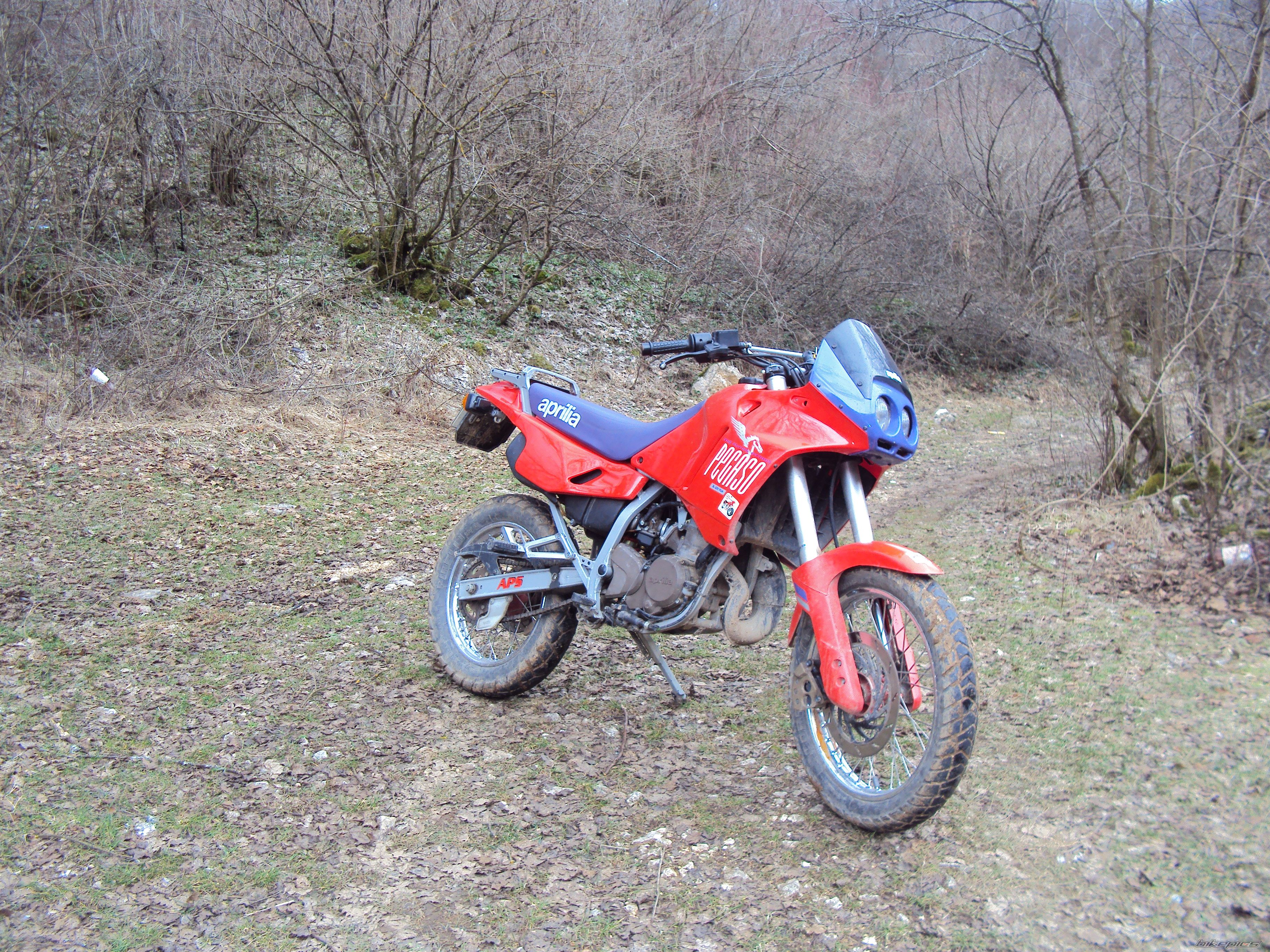 Photo 1915408