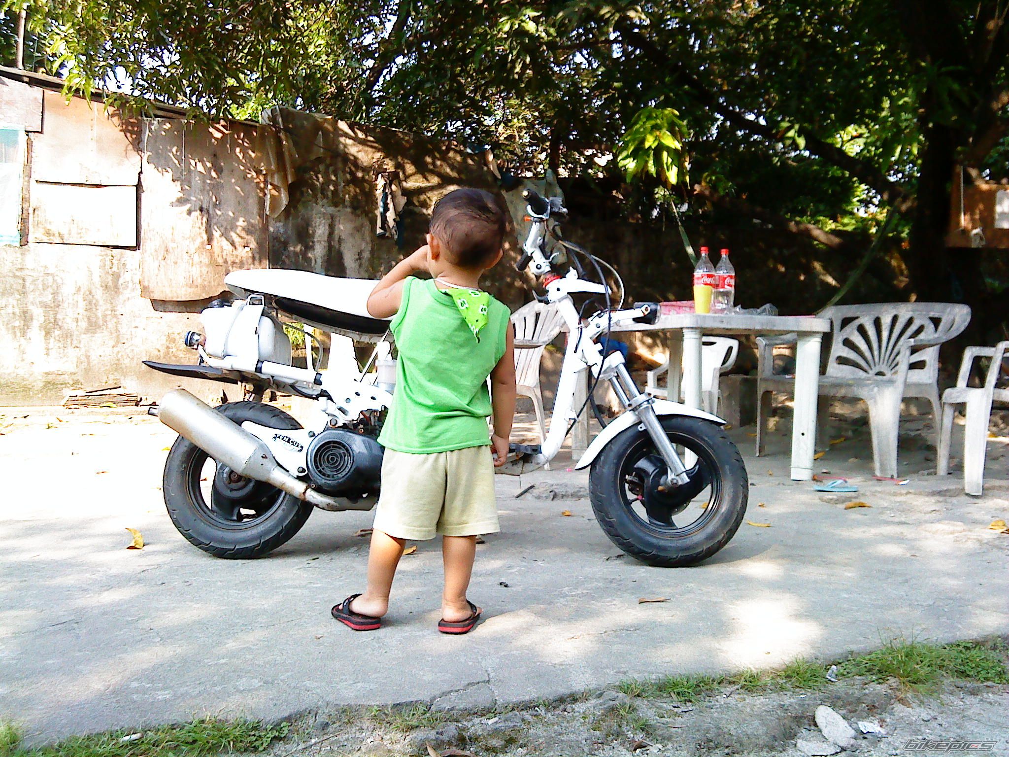 Photo 1915444