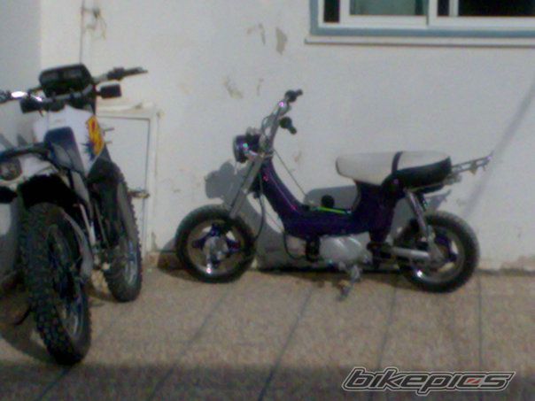 Photo 1915470