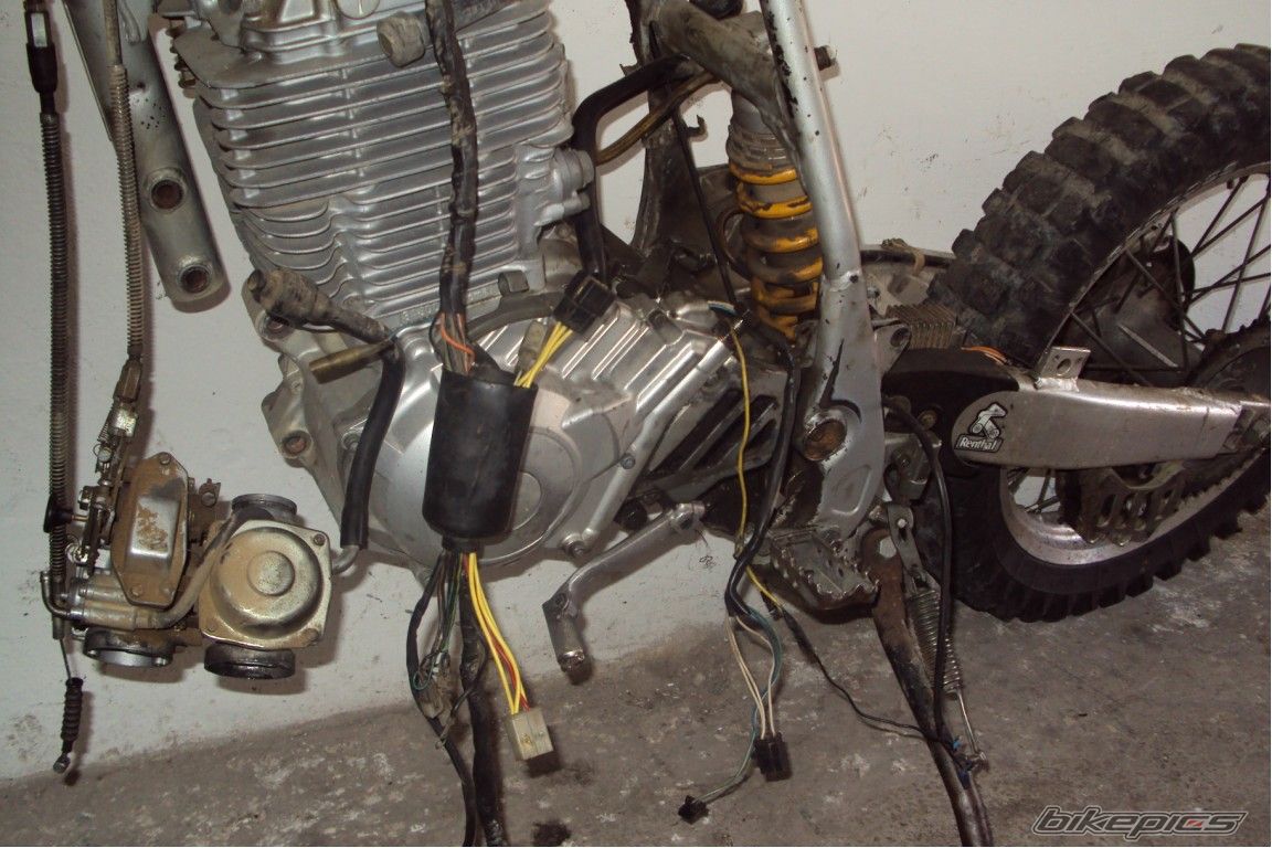 Bike Photo 1915920