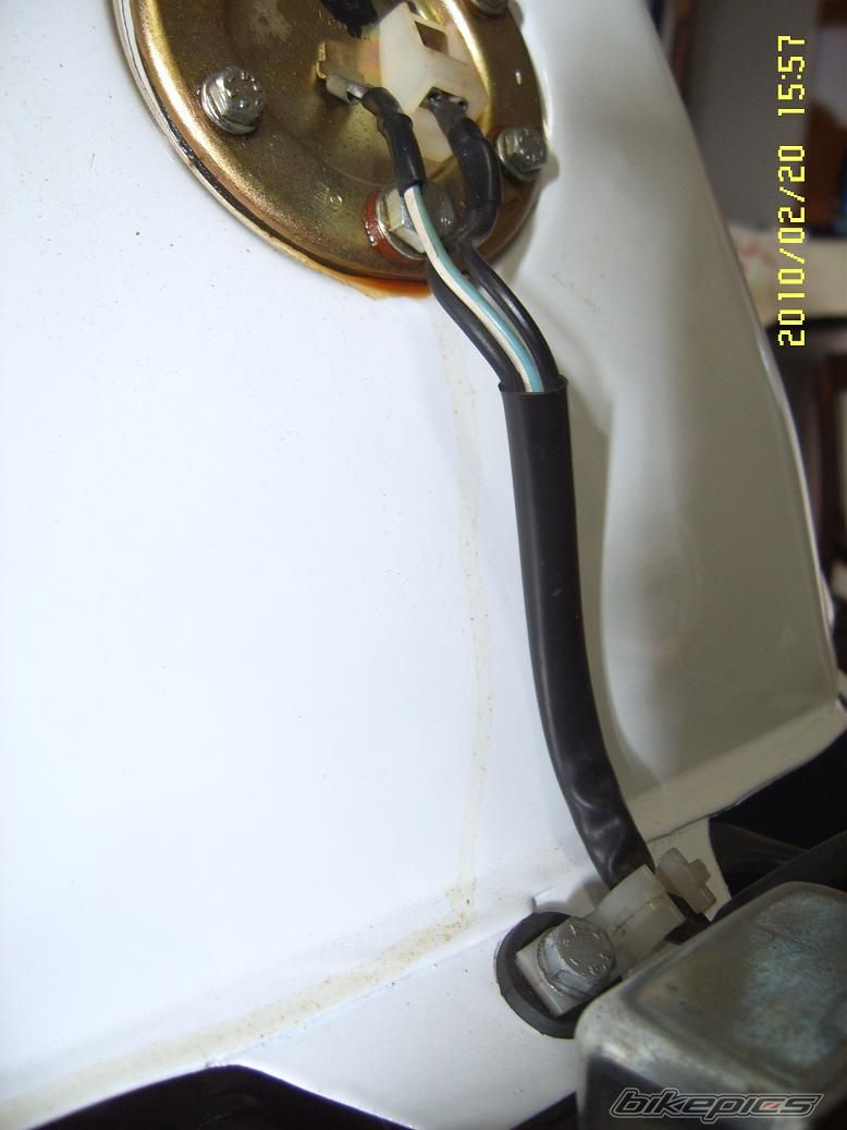 Photo 1916266