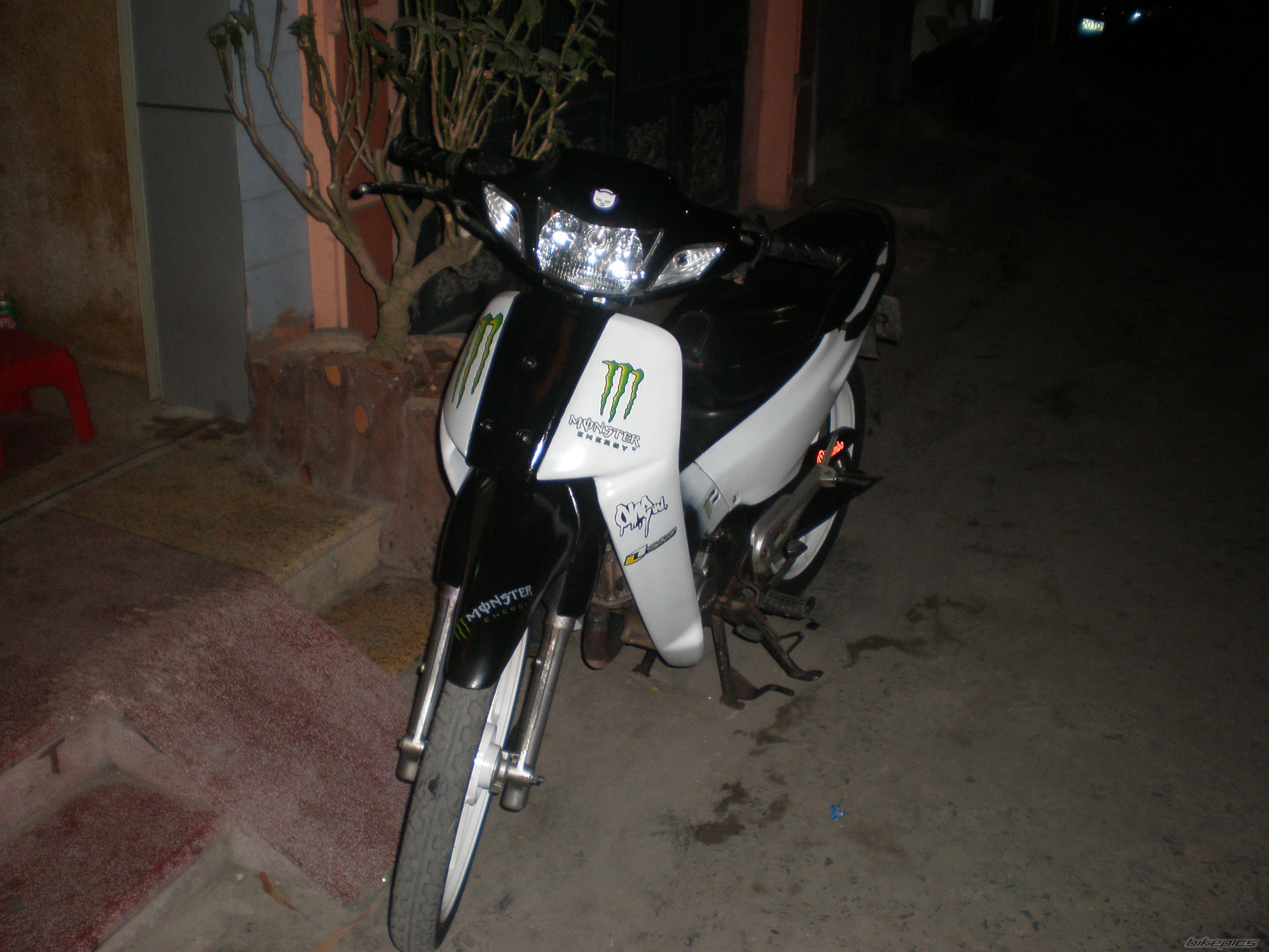 Photo 1916331