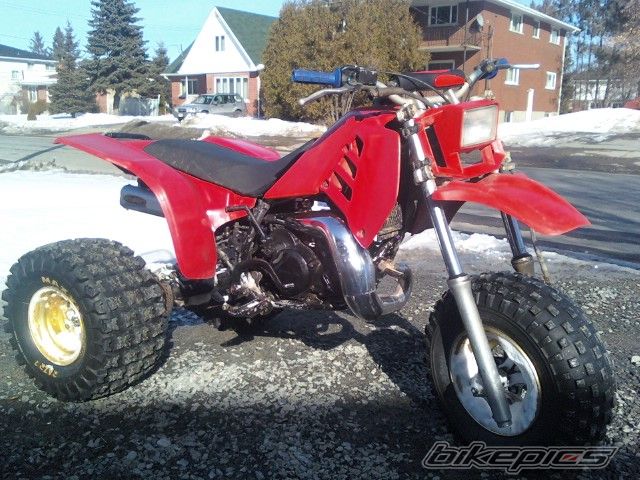 Photo 1916922