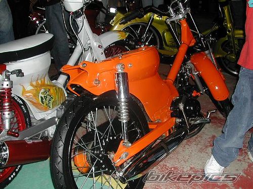 Photo 1917069