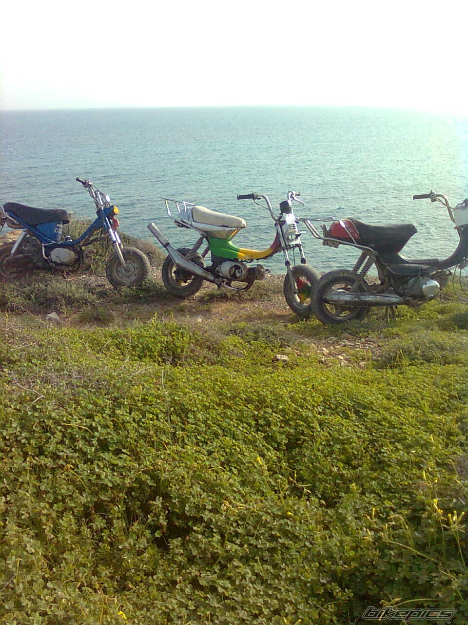 Photo 1917091