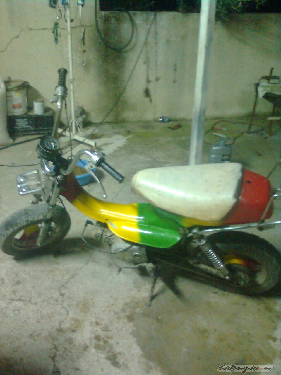 Photo 1917117