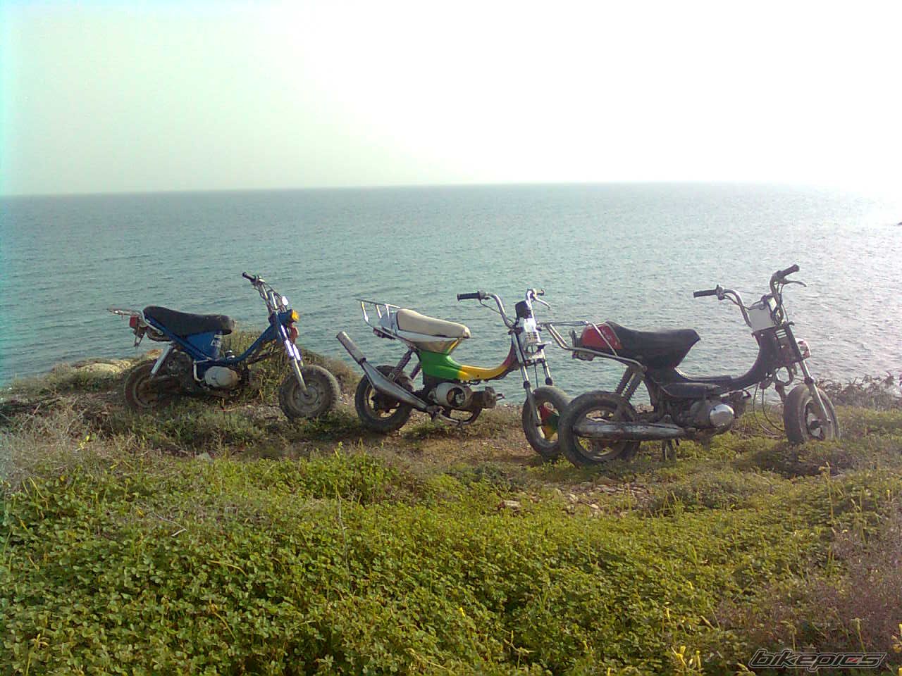 Photo 1917141