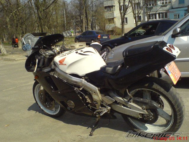 Photo 1917181
