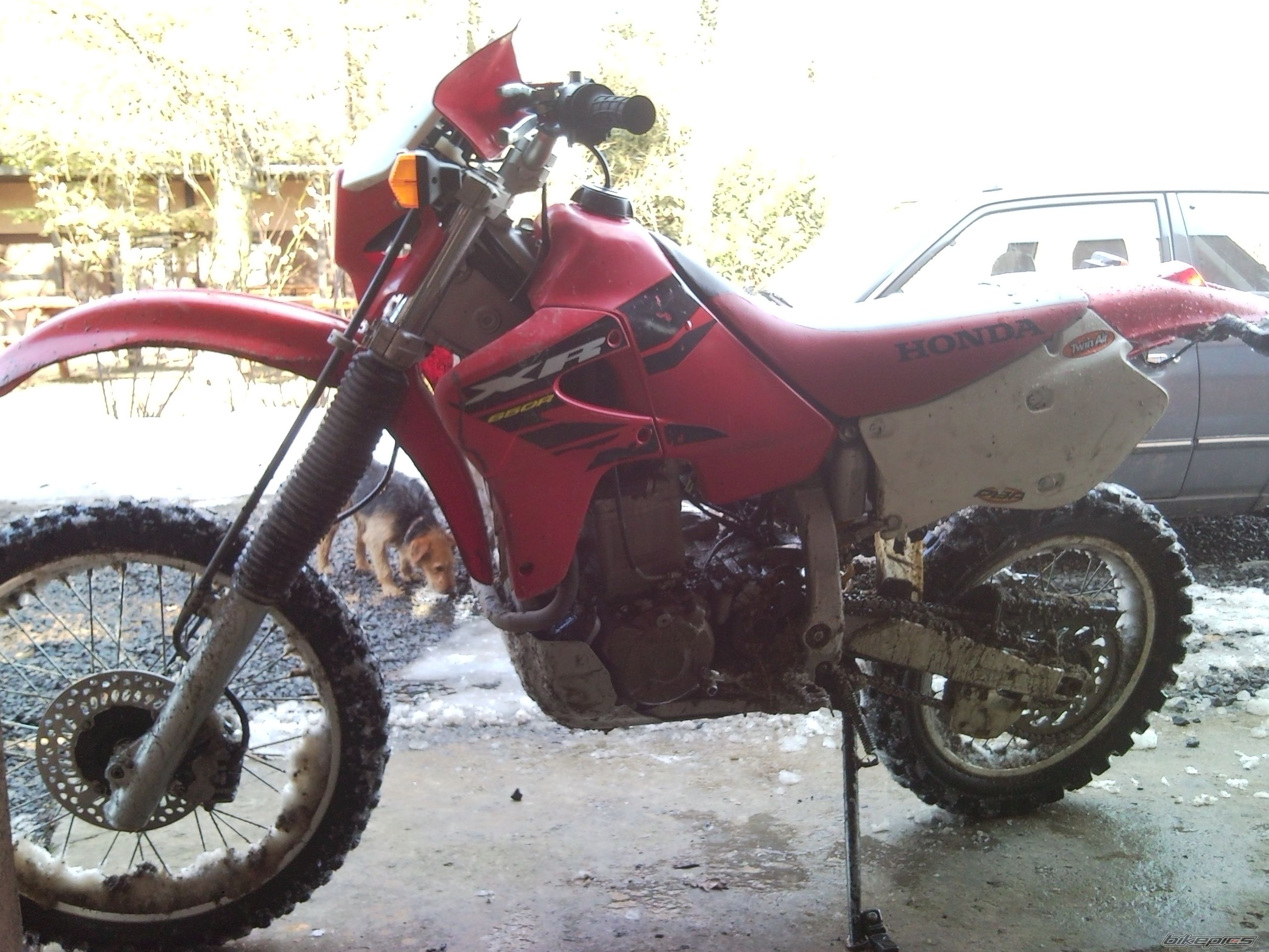 Photo 1917351