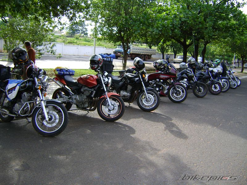 Photo 1917419