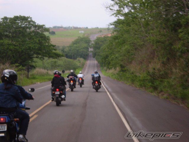 Photo 1917450