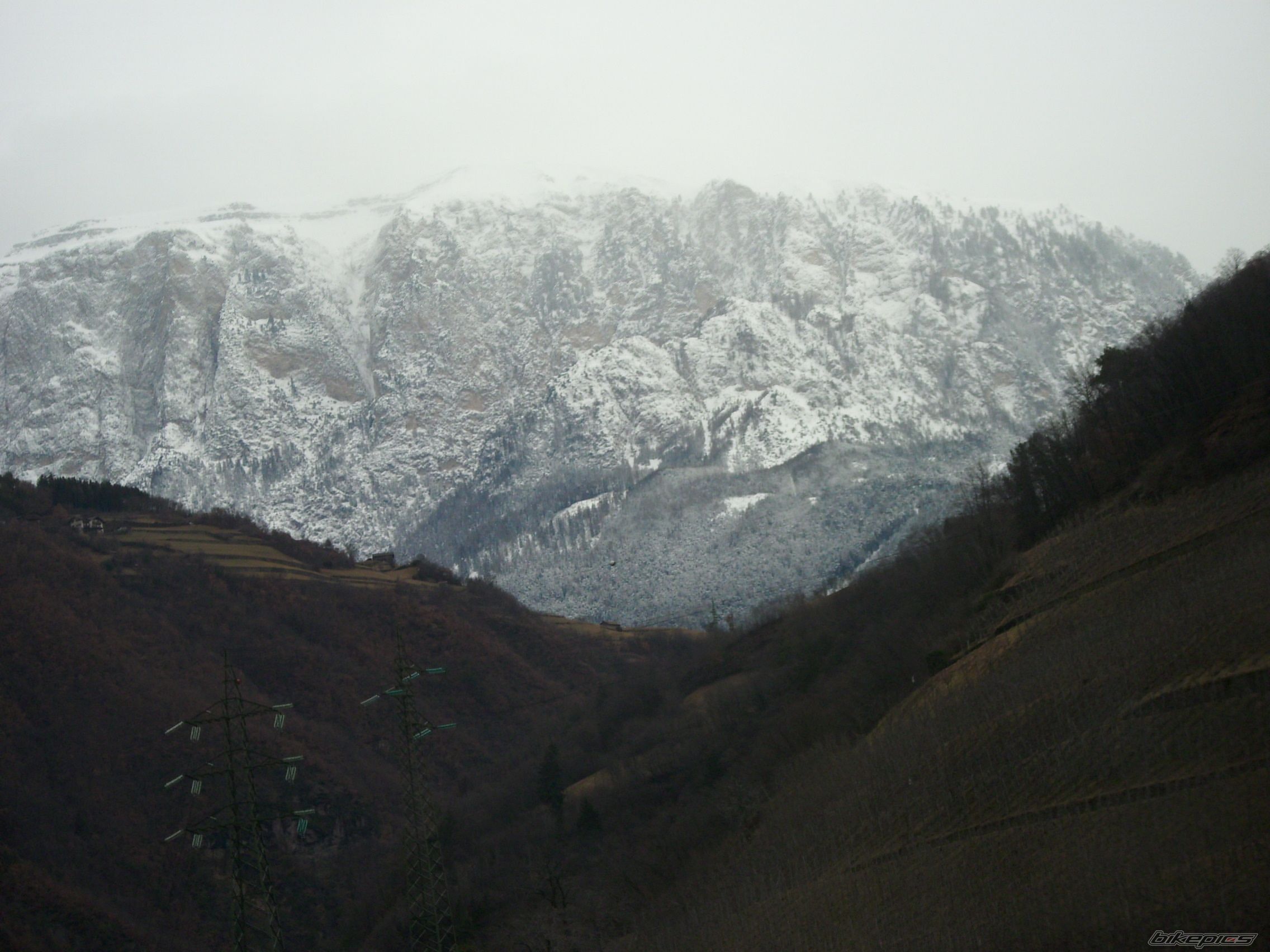 Photo 1917642
