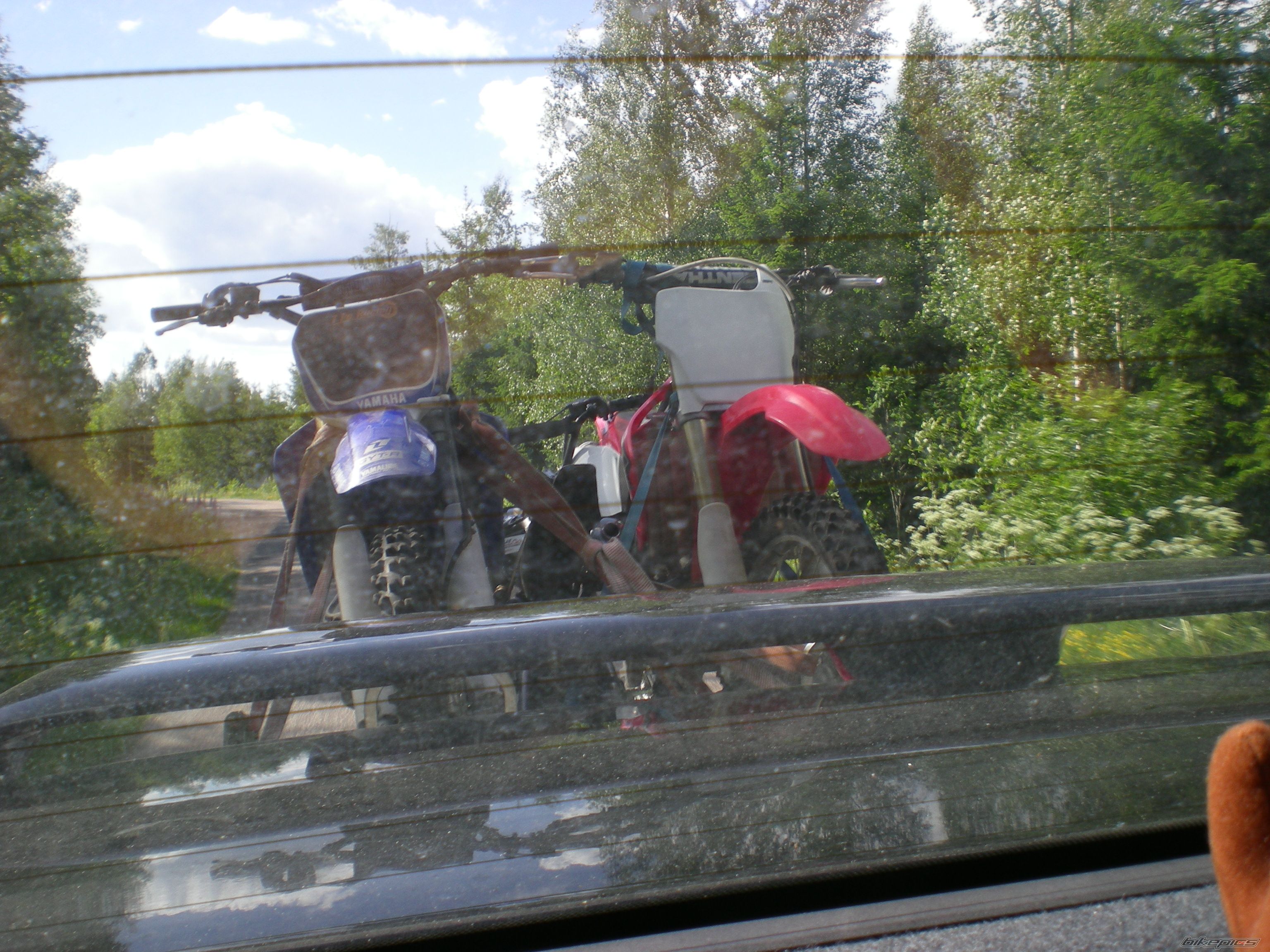 Photo 1917755