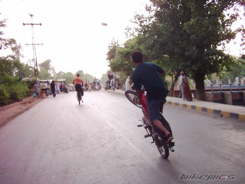 Photo 191791
