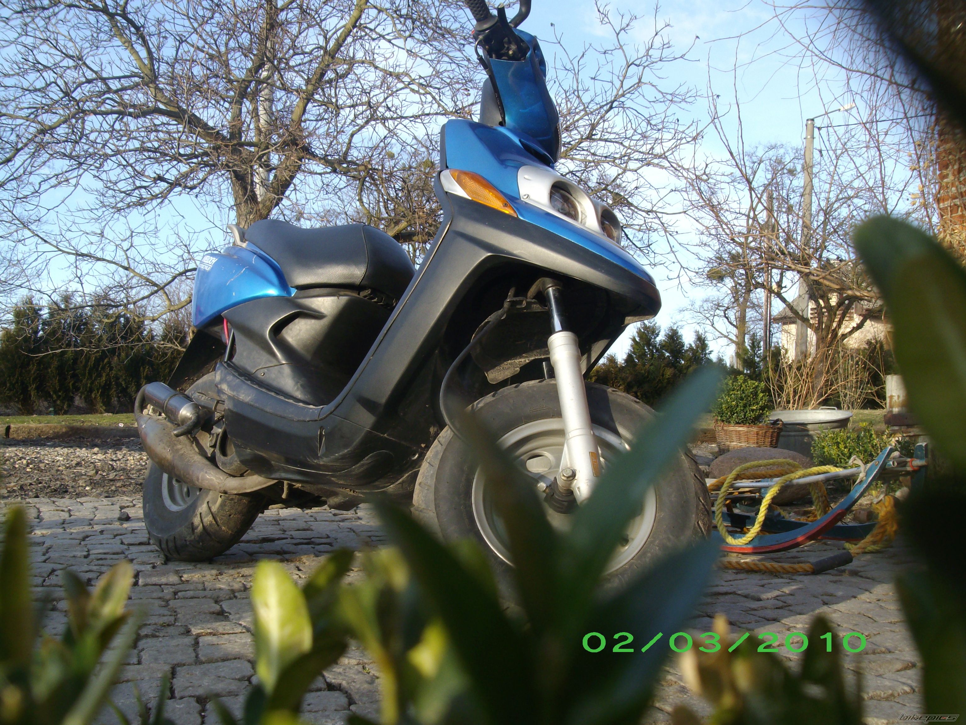 Photo 1917986