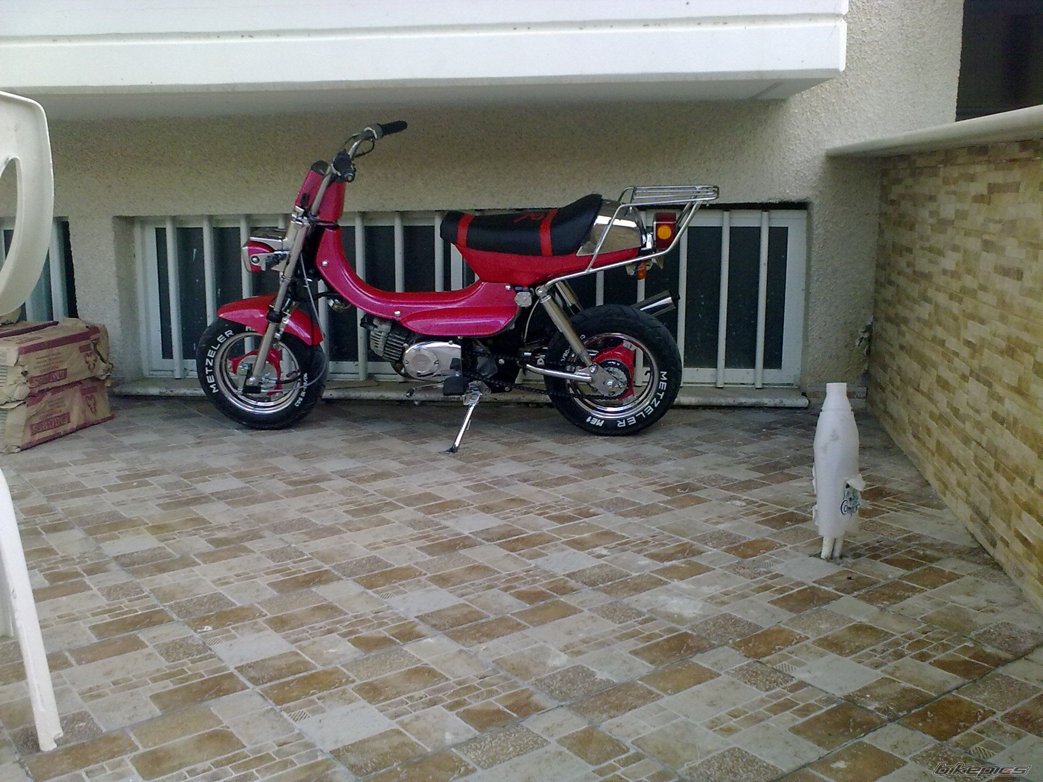Photo 1918009