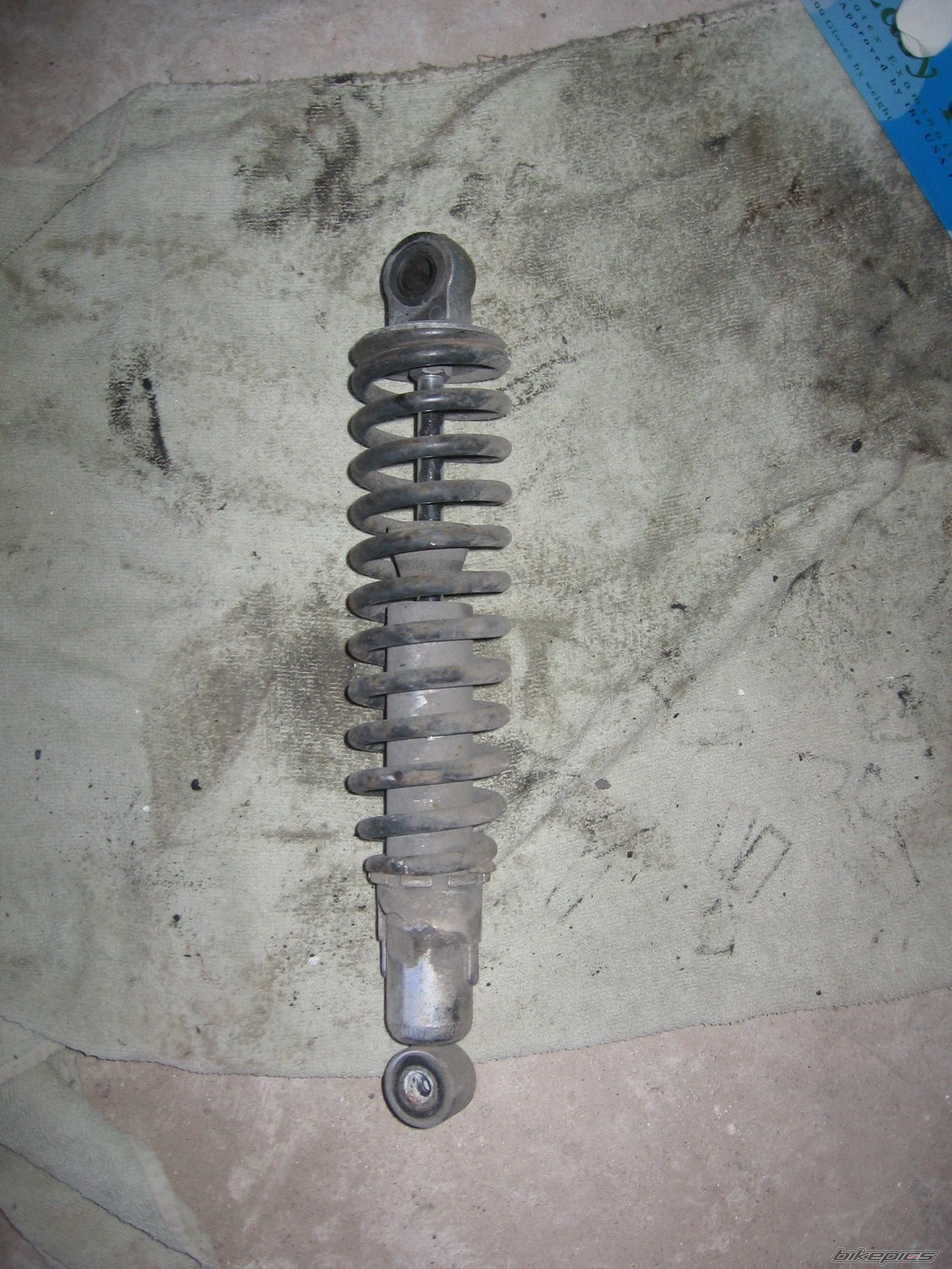 Photo 1918243