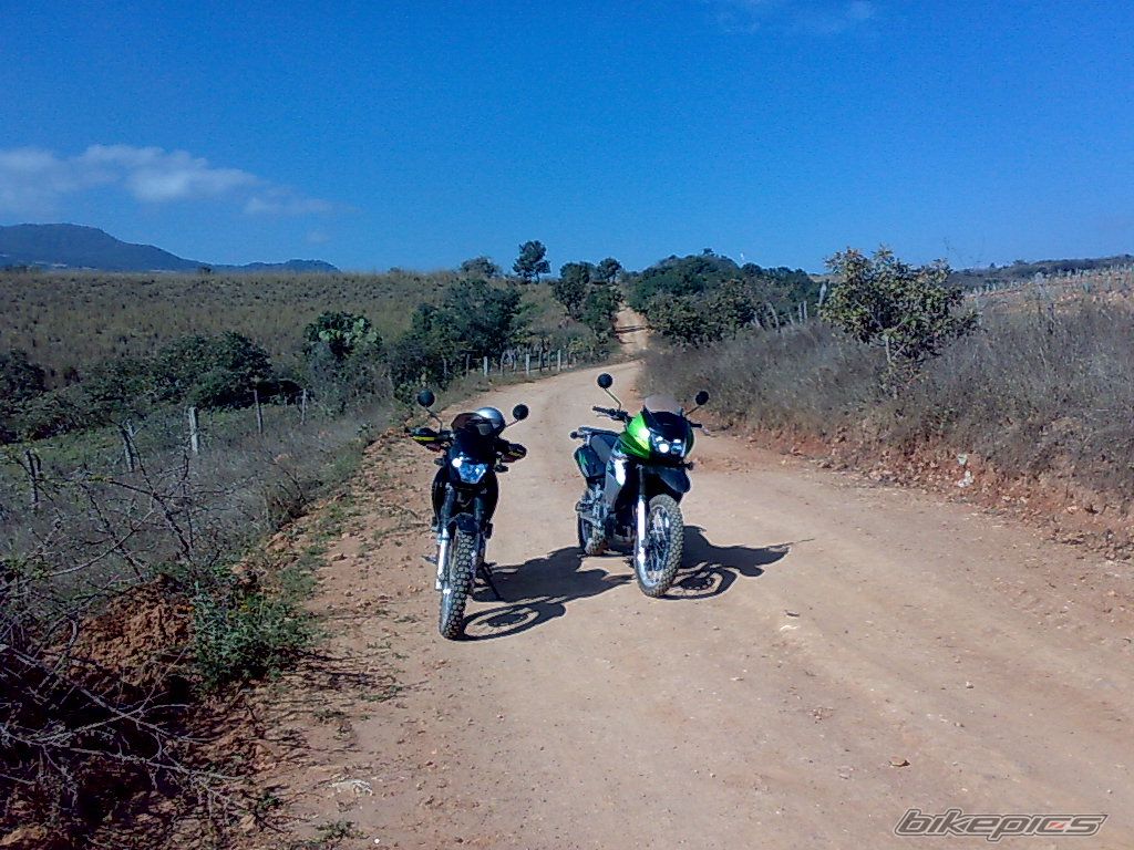 Photo 1918444