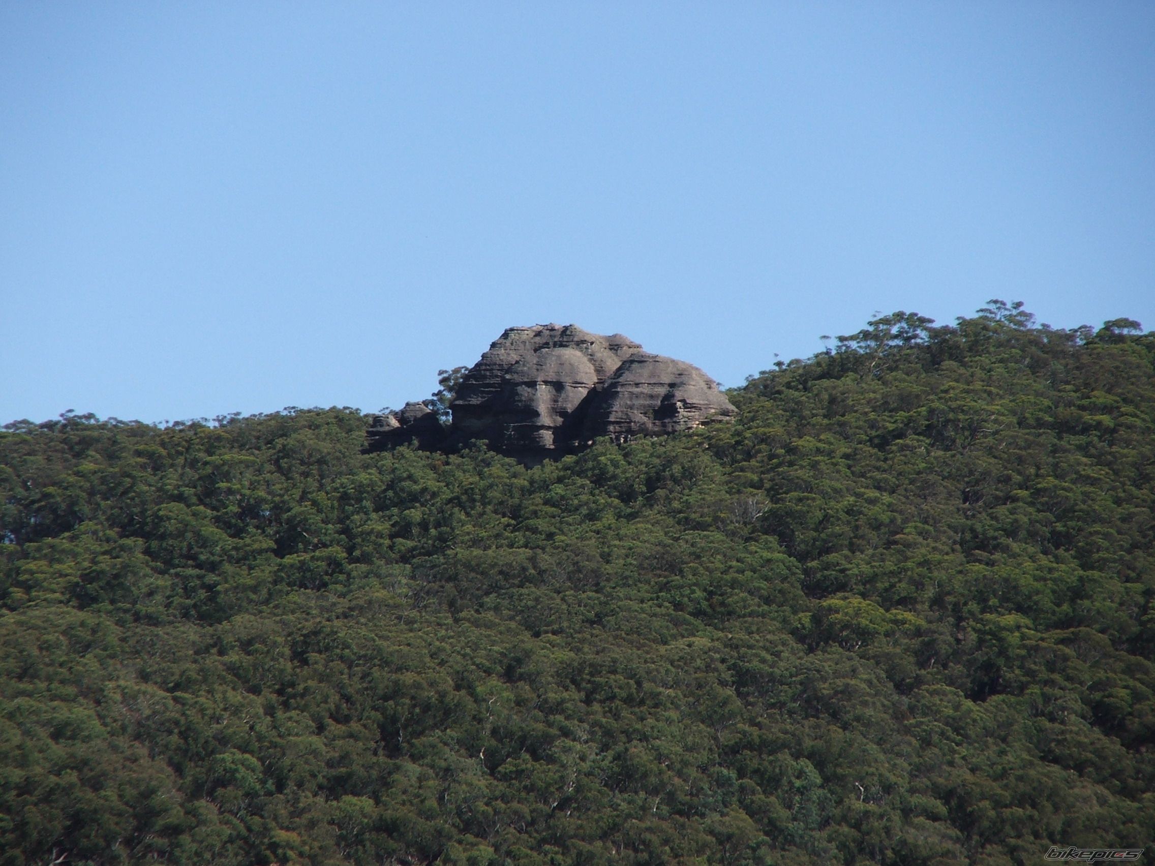 Photo 1918474