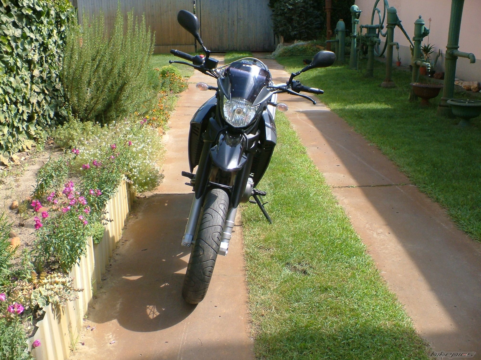 Bike Photo 1918651