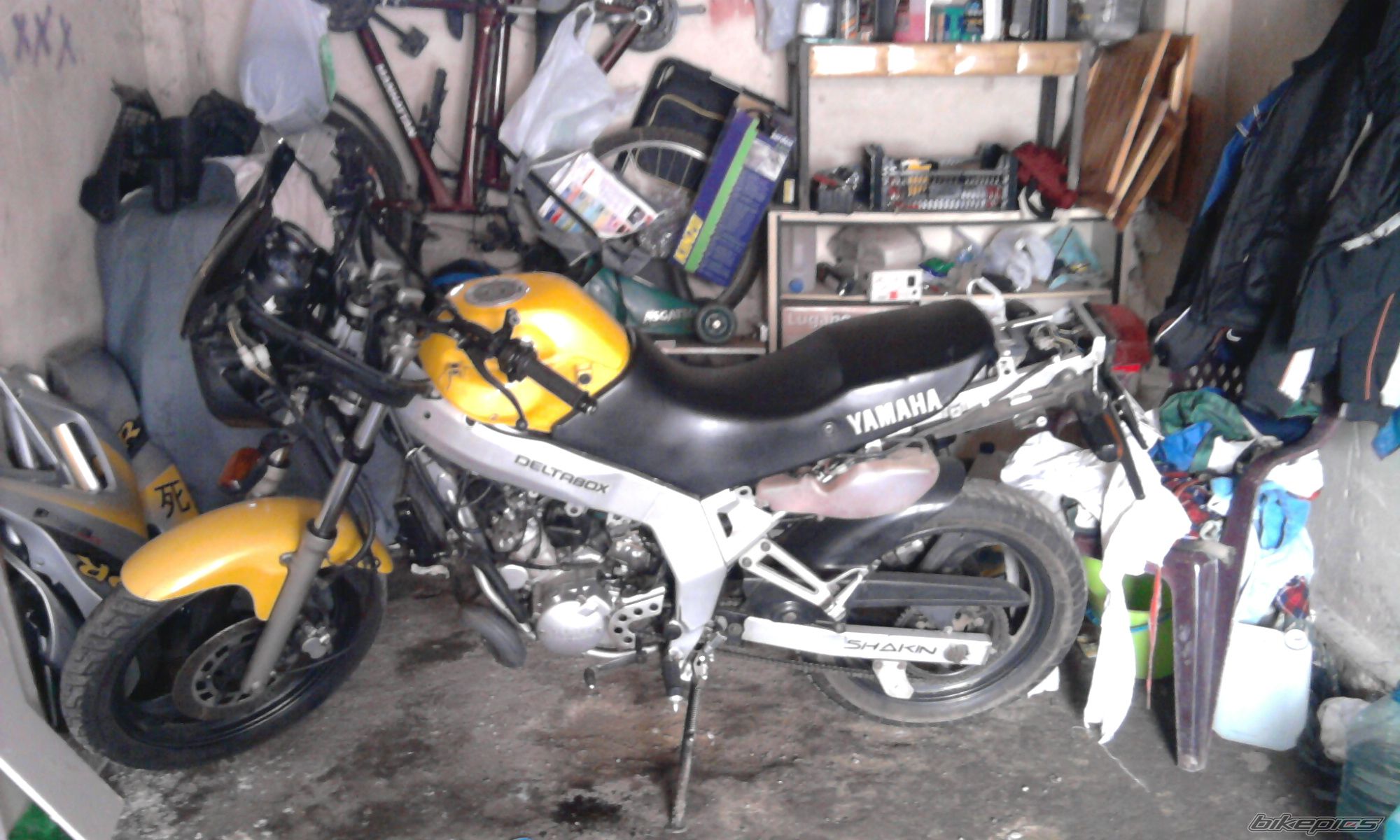 Bike Photo 1918717