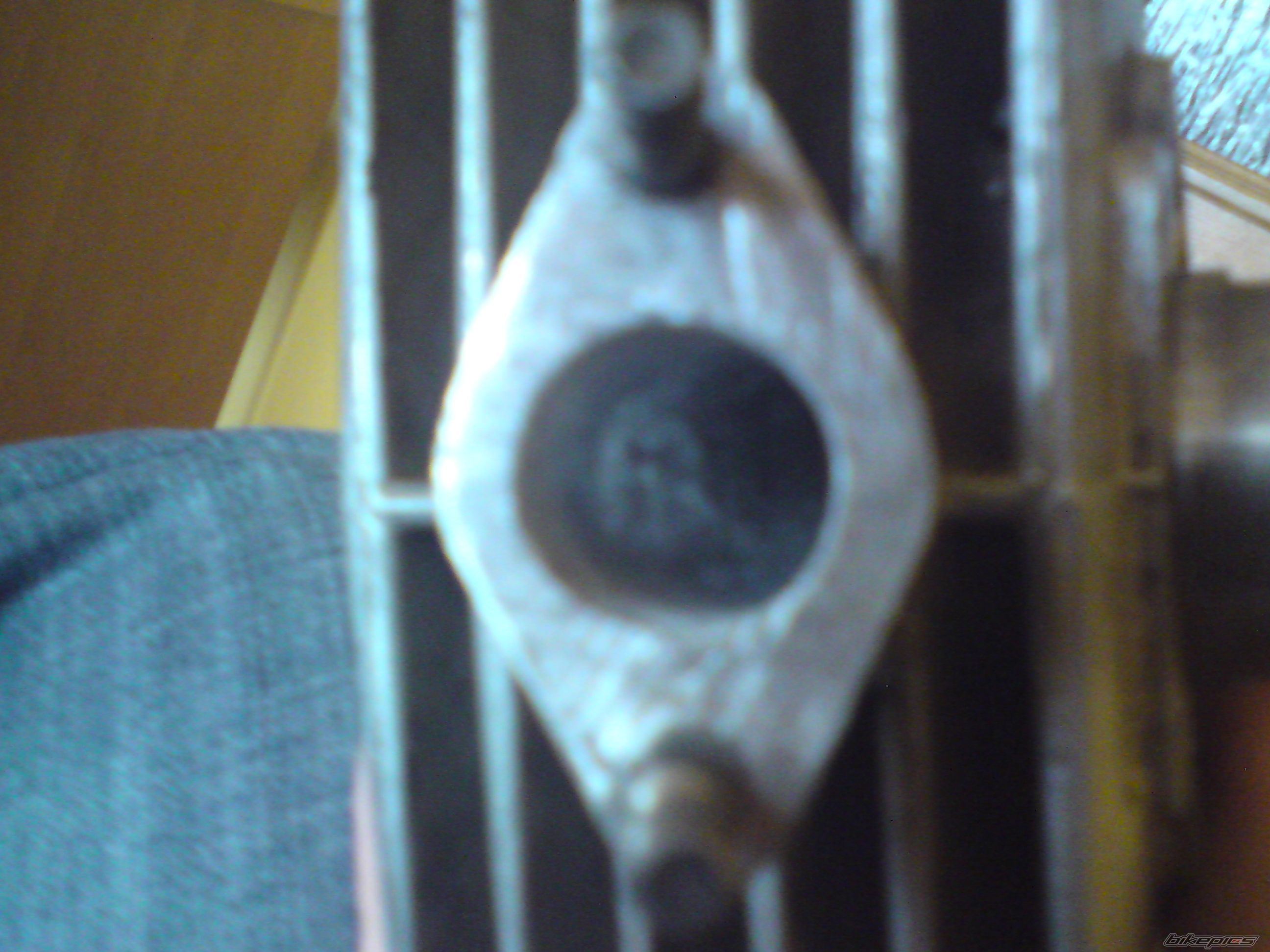 Photo 1919566