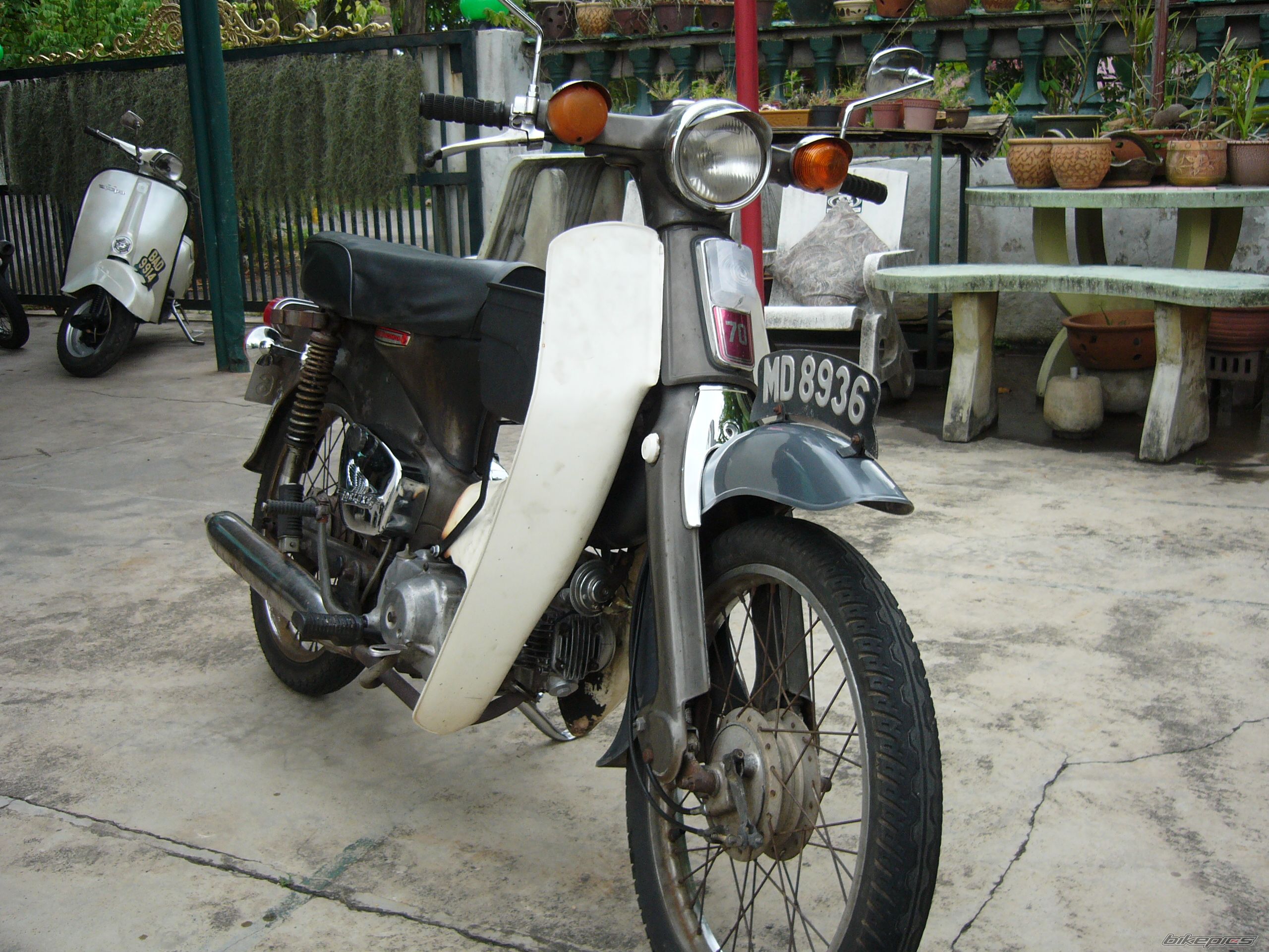 Photo 1919570