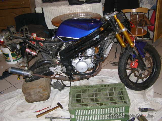 Photo 1919821