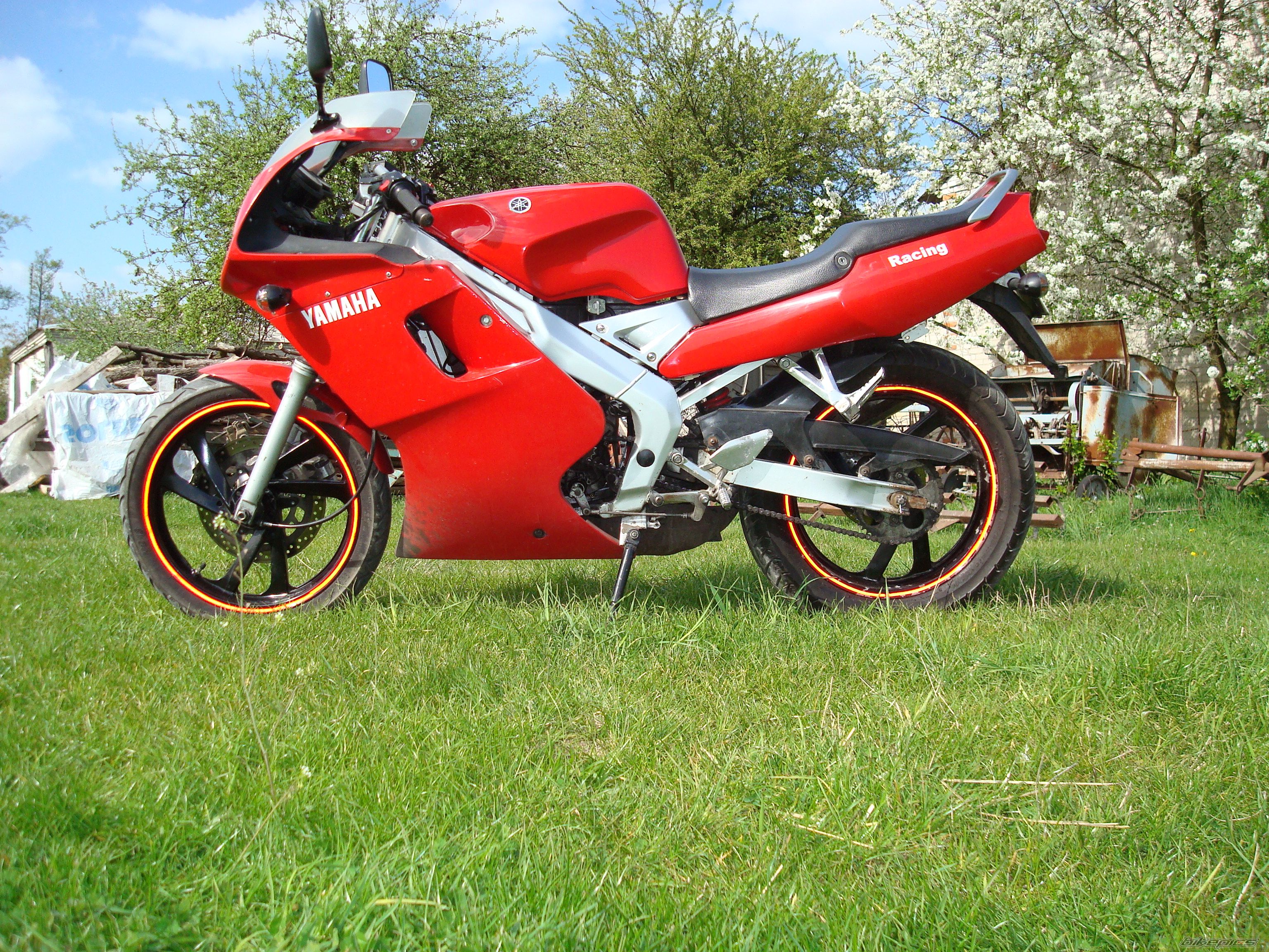 Bike Photo 1919834